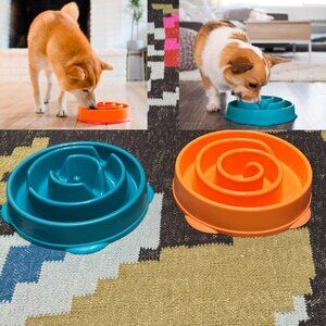 Outward Hound Slo (Slow) Fun Feeder Dog Bowl, Set of 2 Medium Turquoise/Orange